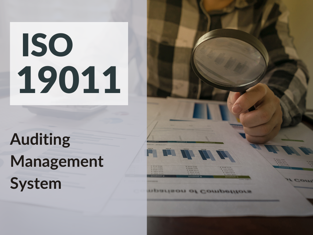 ISO 19011:2018 Auditing Management System